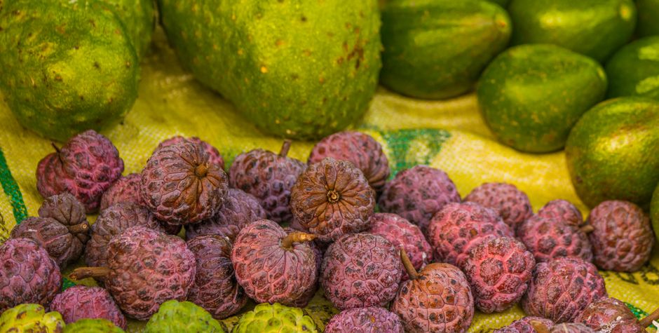 Small Everyday Wellness Habits for Better Health and Energy
